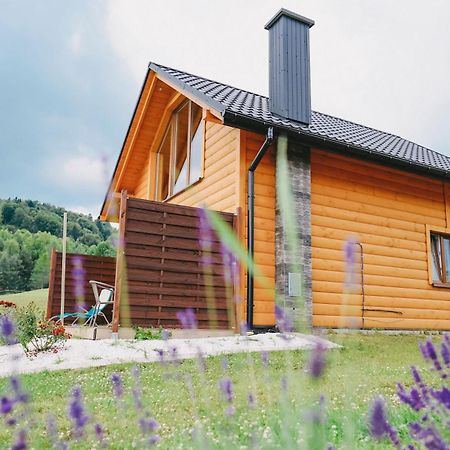 Domki Pod Bukowym Lasem Wańkowa Kültér fotó