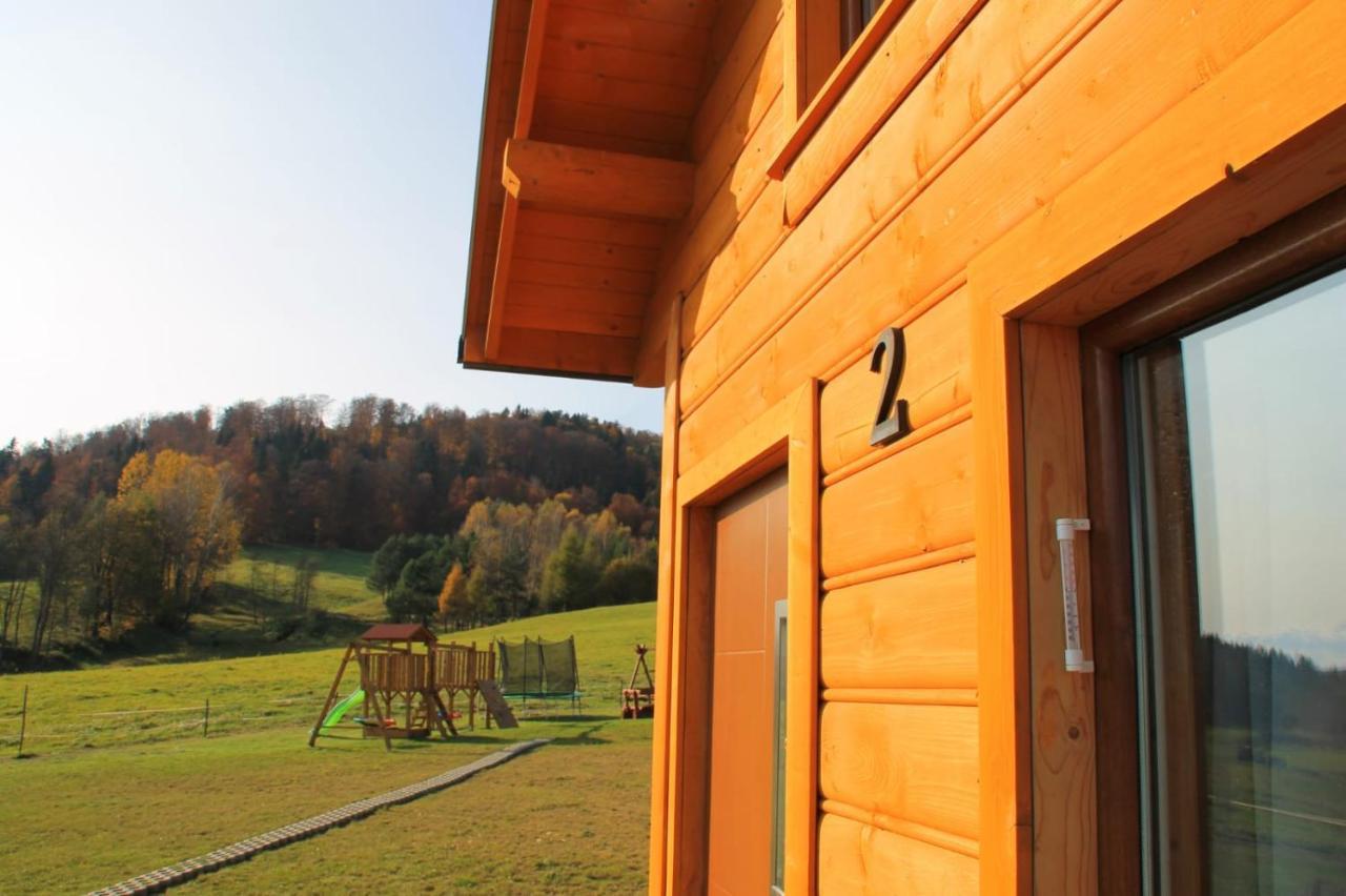 Domki Pod Bukowym Lasem Wańkowa Kültér fotó